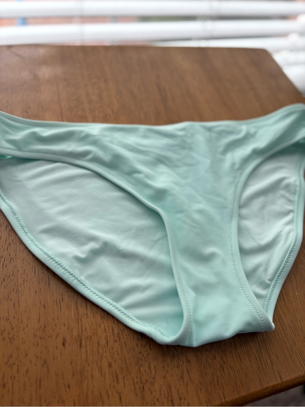 aerie Mint Green Bikini Bottom